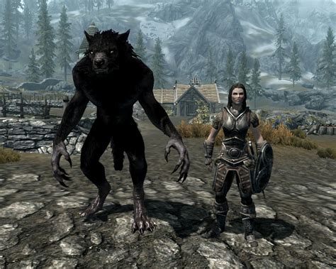 Be approached by a stranger who senses your infection with Sanies Lupinus. . Skyrim how to werewolf
